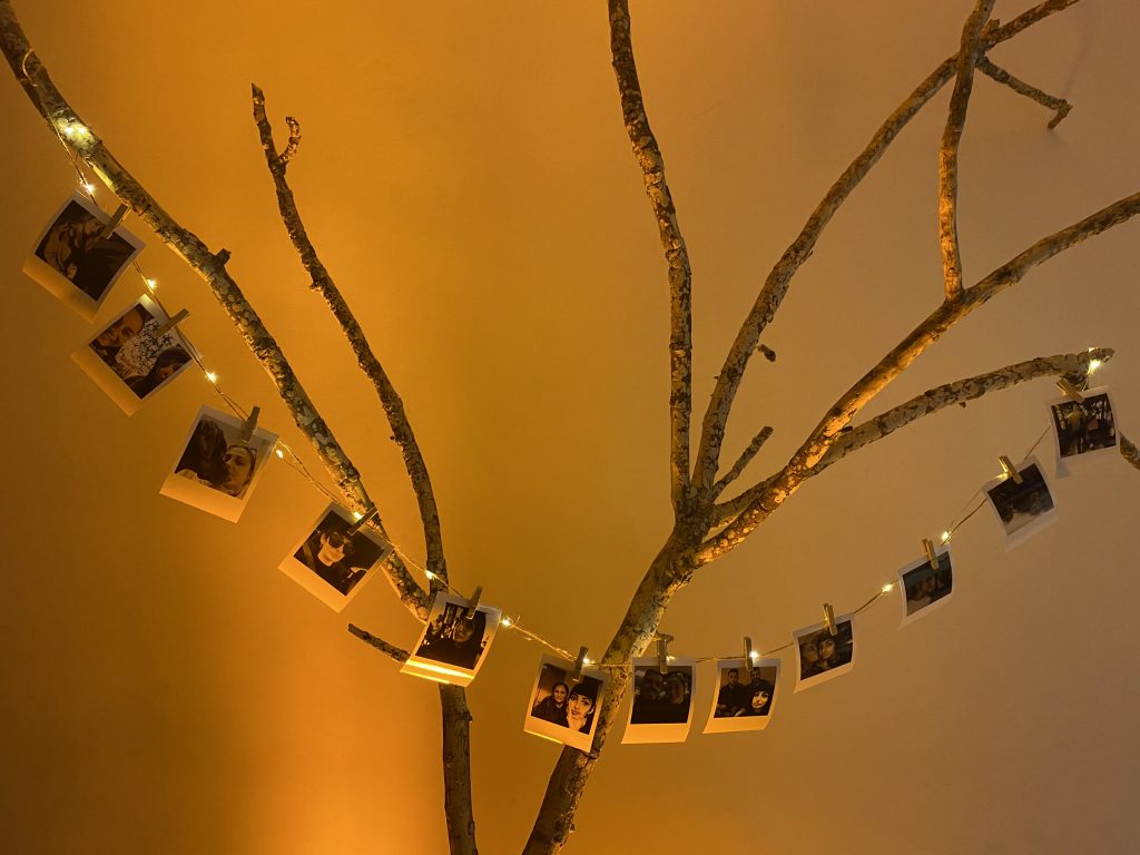 Los placeres más ocultos de los catralenses.😏